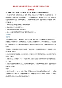 湖北省重点高中智学联盟2023_2024学年高三生物上学期10月联考试题含解析