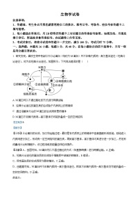 2024贵阳一中高三下学期一模考试生物含解析