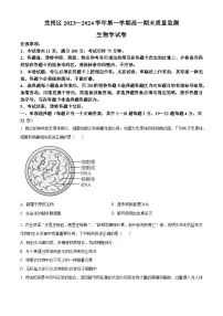 广东省深圳市龙岗区2023-2024学年高一上学期1月期末考试生物（Word版附解析）