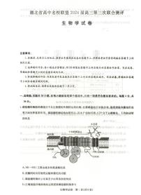 湖北省高中名校联盟2024届高三下学期第三次联考综合测评生物试题及答案