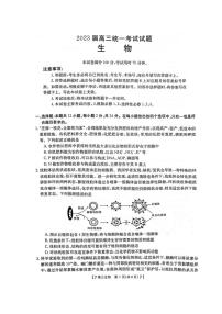 湖南金太阳2023-2024高三上学期统一考试生物试题及答案