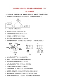 江苏矢江市2023_2024学年高二生物上学期10月阶段测试一含解析