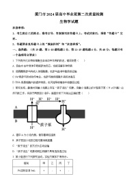 福建省厦门市2024届高三下学期第二次质量检测生物试题（Word版附解析）