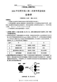 安徽省合肥市2023-2024学年高三下学期一模考试生物试卷（PDF版附答案）