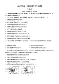 湖南省岳阳市岳阳县第一中学2023-2024学年高一上学期开学考试生物试卷（Word版附解析）