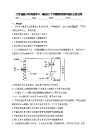 江苏省扬州市高邮市2024届高三下学期期初调研测试生物试卷(含答案)