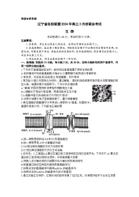 2024辽宁省名校联盟高三下学期3月联合考试生物含解析