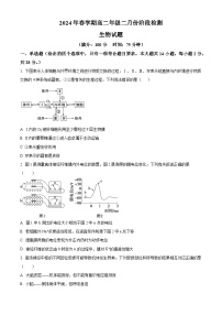 2024盐城建湖高级中学高二下学期期初测试（2月）生物含解析