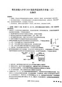 重庆市第八中学2024届高三下学期3月高考适应性月考卷（五）生物试卷（PDF版附答案）