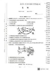 长沙市一中 2023 届高三上学期月考试卷（四）生物试题及答案