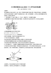 四川省雅安市天立教育集团2023-2024学年高二下学期开学考试生物试题