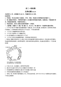 2024届山东省泰安市高三一模生物试题