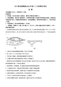 辽宁省名校联盟2023-2024学年高二下学期3月联合考试生物试题（Word版附解析）