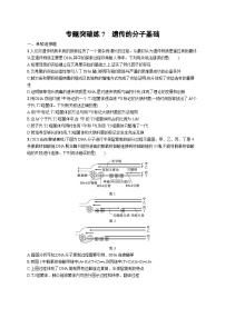 2024年高考生物二轮专项复习专题突破练7遗传的分子基础（Word版附解析）