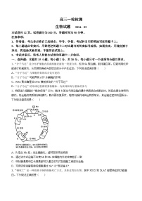 山东省泰安市2023—2024学年高三下学期第一次模拟考试生物试题