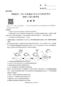 湖南省佩佩教育2024年普通高中学业水平选择性考试 湖南3月高三联考生物