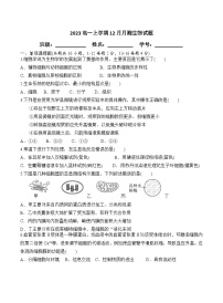 广东省广州市番禺区某校2023-2024学年高一上学期12月月考生物试题