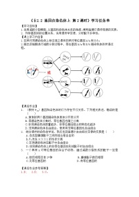 人教版 (2019)必修2《遗传与进化》第2节 基因在染色体上学案及答案