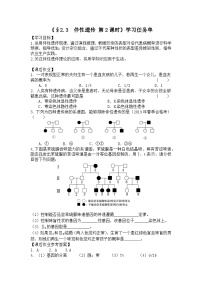 人教版 (2019)必修2《遗传与进化》第3节 伴性遗传学案设计