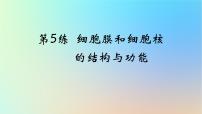2025版高考生物一轮复习真题精练第二章细胞的基本结构与物质运输第5练细胞膜和细胞核的结构与功能课件