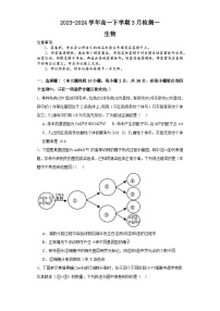 河南省安阳市林州市林州市第一中学2023-2024学年高一下学期3月月考生物试题