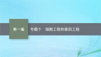 新高考新教材2024届高考生物二轮总复习专题十细胞工程和基因工程课件