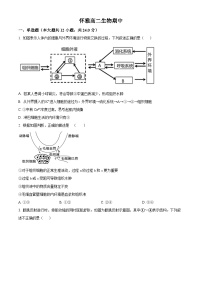 湖南省怀化市雅礼实验学校2022-2023学年高二上学期期中生物试题（原卷版+解析版）