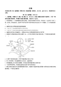 2024届甘肃省张掖市某校高三下学期模拟考试生物试题