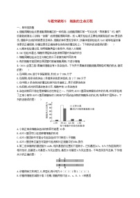 2024届新高考生物二轮总复习专题突破练5细胞的生命历程（附解析）