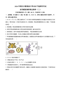 重庆市（康德卷）2024届高三普通高等学校招生全国统一考试高考模拟调研卷（三）生物试卷（Word版附解析）