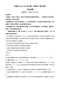 安徽省阜阳市阜南县2023-2024学年高一上学期期末生物试卷（Word版附解析）