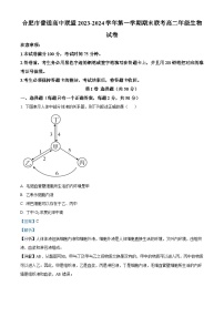 安徽省合肥市六校联盟2023-2024学年高二上学期1月期末考试生物试卷（Word版附解析）