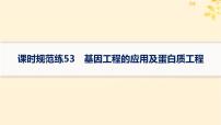 备战2025届新高考生物一轮总复习第10单元生物技术与工程课时规范练53基因工程的应用及蛋白质工程课件