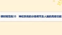 备战2025届新高考生物一轮总复习第8单元稳态与调节课时规范练33神经系统的分级调节及人脑的高级功能课件