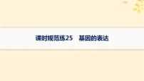 备战2025届新高考生物一轮总复习第6单元遗传的分子基础课时规范练25基因的表达课件