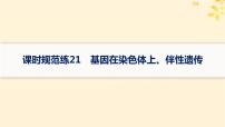 备战2025届新高考生物一轮总复习第5单元孟德尔遗传定律与伴性遗传课时规范练21基因在染色体上伴性遗传课件