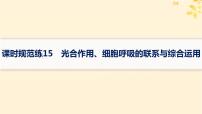 备战2025届新高考生物一轮总复习第3单元细胞的代谢课时规范练15光合作用细胞呼吸的联系与综合运用课件