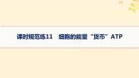 备战2025届新高考生物一轮总复习第3单元细胞的代谢课时规范练11细胞的能量“货币”ATP课件