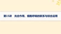 备战2025届新高考生物一轮总复习第3单元细胞的代谢第15讲光合作用细胞呼吸的联系与综合运用课件