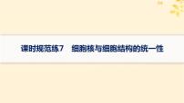 备战2025届新高考生物一轮总复习第2单元细胞的基本结构及物质运输课时规范练7细胞核与细胞结构的统一性课件