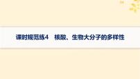 备战2025届新高考生物一轮总复习第1单元细胞的概述细胞的分子组成课时规范练4核酸生物大分子的多样性课件