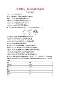 备战2025届新高考生物一轮总复习第10单元生物技术与工程课时规范练48微生物的培养技术及其应用（附解析）