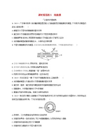 备战2025届高考生物一轮总复习第2单元细胞的基本结构及物质运输课时规范练5细胞膜