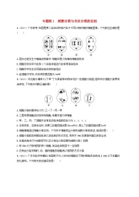 备战2025届高考生物一轮总复习第4单元细胞的生命历程专题练1减数分裂与有丝分裂的比较