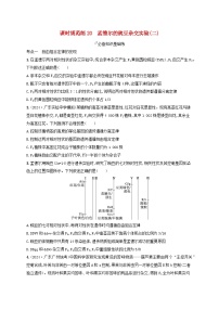 备战2025届高考生物一轮总复习第5单元孟德尔遗传定律与伴性遗传课时规范练20孟德尔的豌豆杂交实验二