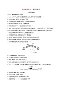 备战2025届高考生物一轮总复习第6单元遗传的分子基础课时规范练25基因的表达