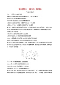 备战2025届高考生物一轮总复习第7单元生物的变异和进化课时规范练27基因突变基因重组