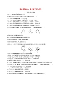 备战2025届高考生物一轮总复习第7单元生物的变异和进化课时规范练28染色体变异与育种