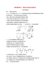 备战2025届高考生物一轮总复习第8单元稳态与调节课时规范练38植物生长素及其生理作用