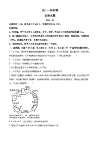 2024泰安高三下学期3月一轮检测（泰安一模）生物含解析